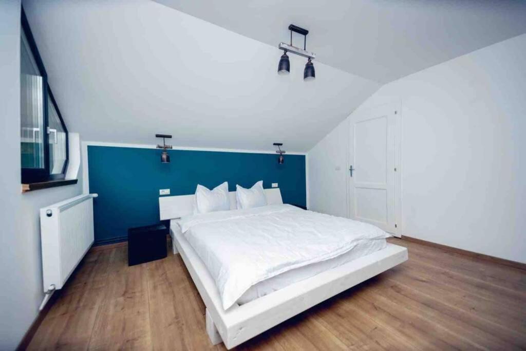 Valley House Cabana Cu Priveliste De Vis Sita Buzaului Экстерьер фото