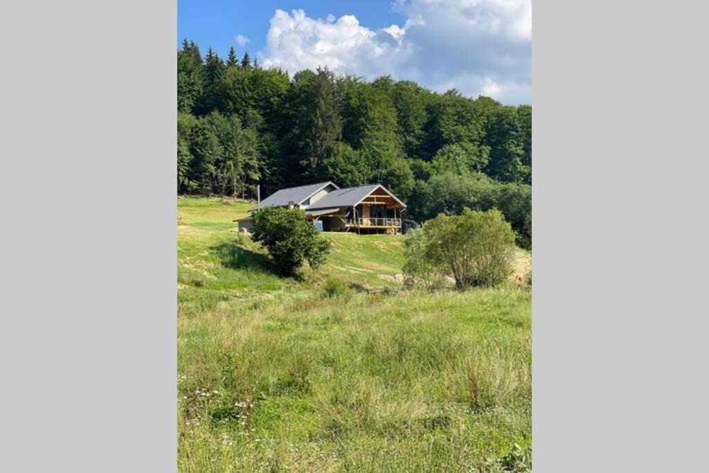 Valley House Cabana Cu Priveliste De Vis Sita Buzaului Экстерьер фото